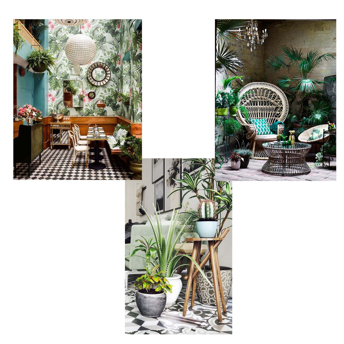 #urbanjungle oggi in #didiandthecity dalle 10.00 alle 12.00 solo su <a href="/radioincontrodo/">radioincontrodonna</a>