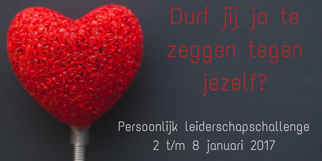 Durf jij ja te zeggen tegen jezelf?
zegjategenjezelf.nl 
#persoonlijk #leiderschap #challenge #vrouw