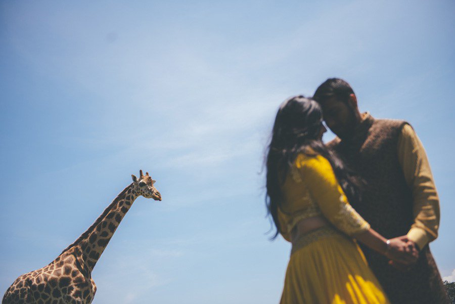 A Wedding in Uganda divinedayphotography.com/2016/12/06/a-w…