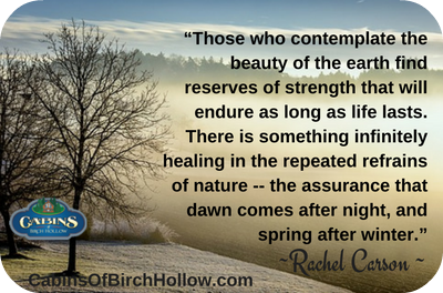 KayLHAuthor's tweet photo. There is something infinitely healing in the repeated refrains of nature -- | Cabins of Birch Hollow  https://t.co/80BYCa9Ysn https://t.co/EohqXJMu5R