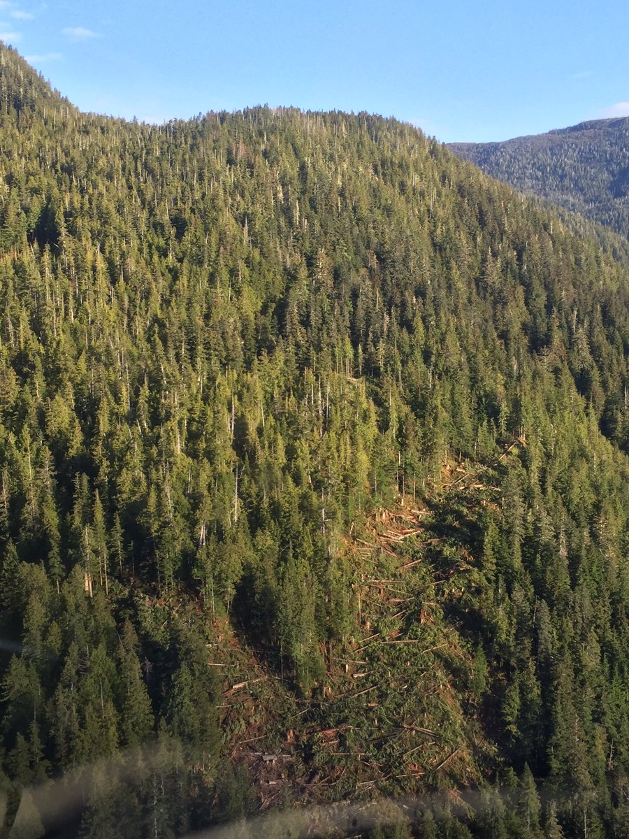 SibolaMtFalling's tweet photo. Aerial shot of the Cousins Heli project #Helilogging #bcforestry https://t.co/kJAzB80hqF https://t.co/g2tVJxfHke
