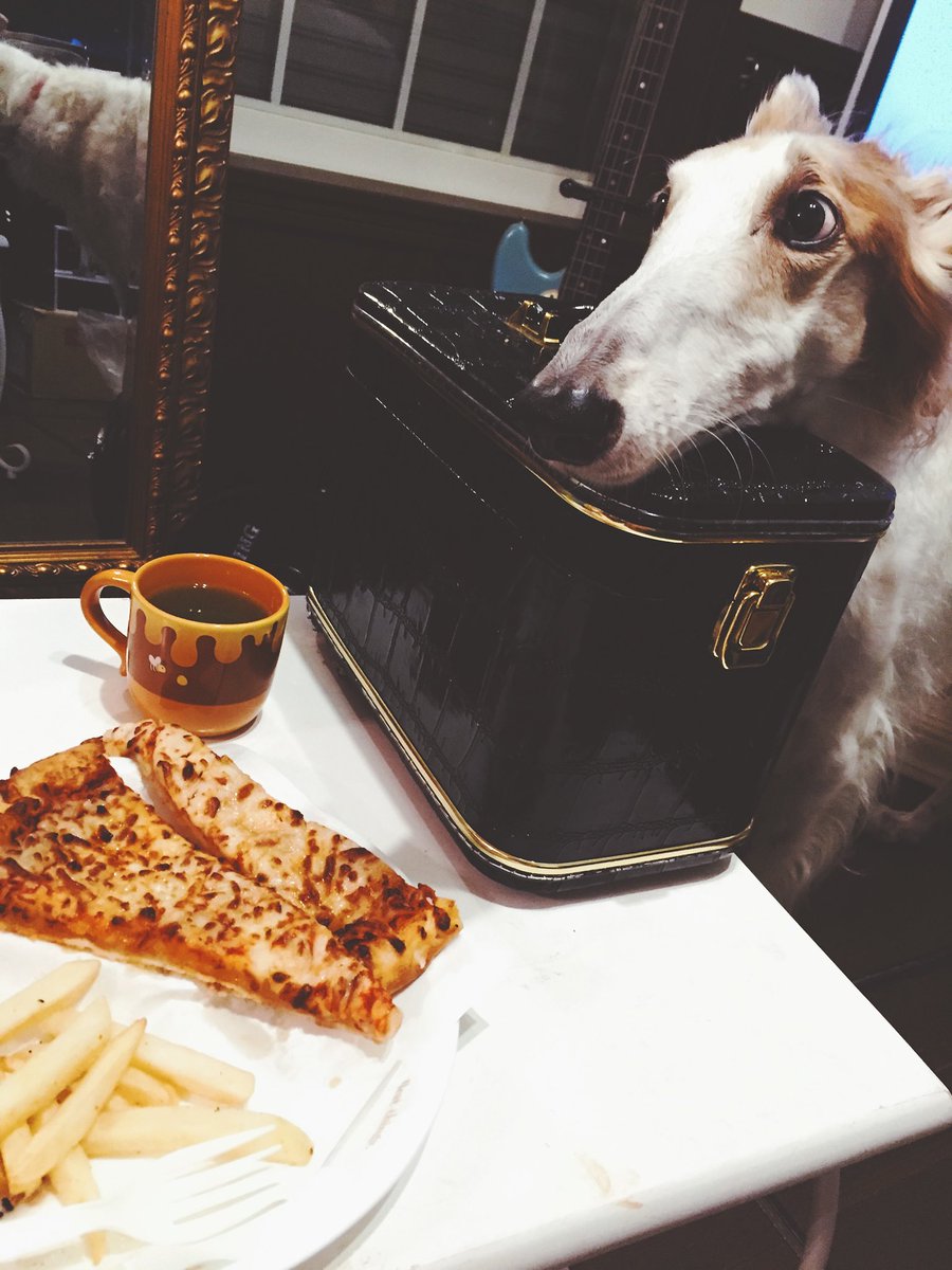 保護ボルゾイ さらたんbot على تويتر じーっ じーっ 愛犬 Borzoi Largedog 犬 ボルゾイ Giantbreeds Dog 親バカ 犬バカ かわいい Rt 癒し 拡散 ファボ お気に入り 大型犬 可愛い 拡散希望 Rt希望 癒し画像 愛犬家 犬ご飯 T Co 保護ボルゾイ さらたんbot على تويتر じーっ じーっ 愛犬 Borzoi Largedog 犬 ボルゾイ Giantbreeds Dog 親バカ 犬バカ かわいい Rt 癒し 拡散 ファボ お気に入り 大型犬 可愛い 拡散希望 Rt希望 癒し画像 愛犬家 犬ご飯 T Co