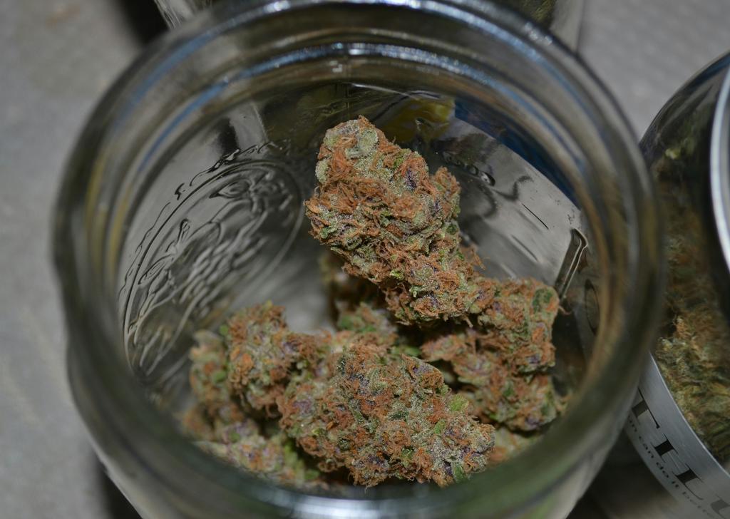 cmartin0725's tweet photo. #JaffaCake # 1. #Melvanetics #buddhastreeltd #cleanroots. Its like a cake, when you grind it, purple! @Melvanetics2 https://t.co/reLhxRqnzA