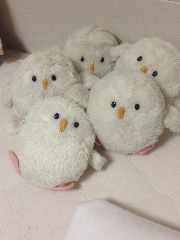 41 割引大勧め 白フクロウのおふうのぬいぐるみ おもちゃ ゲーム おもちゃ Baltic Jewelry Com 41 割引大勧め 白フクロウのおふうのぬいぐるみ おもちゃ ゲーム おもちゃ Baltic Jewelry Com