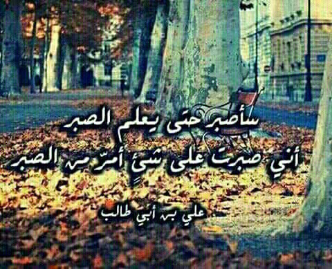 ابن الحشد المقدس (@huassmqw) on Twitter photo 