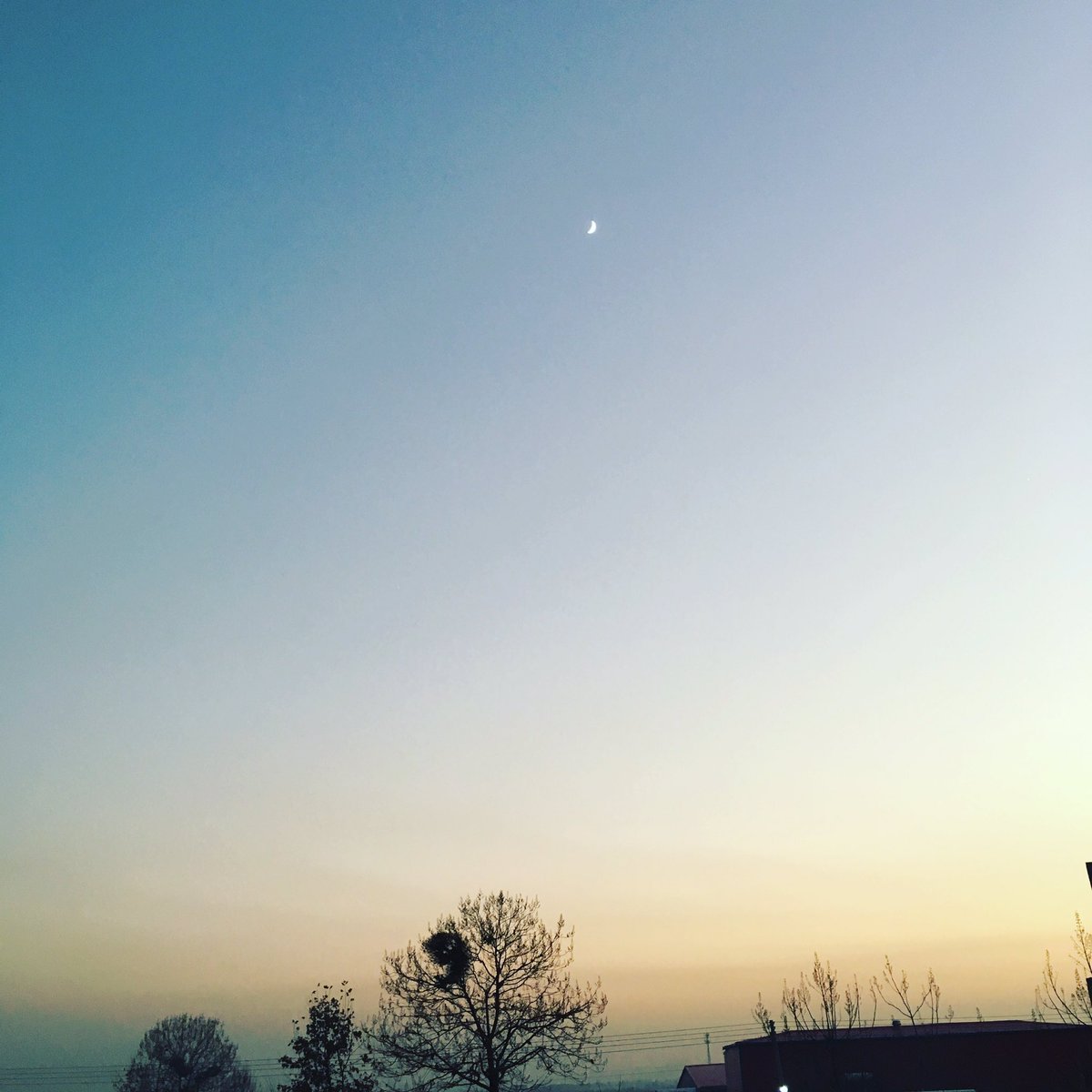 rhljiayou's tweet photo. 🌙月 https://t.co/msZEiMx1PD