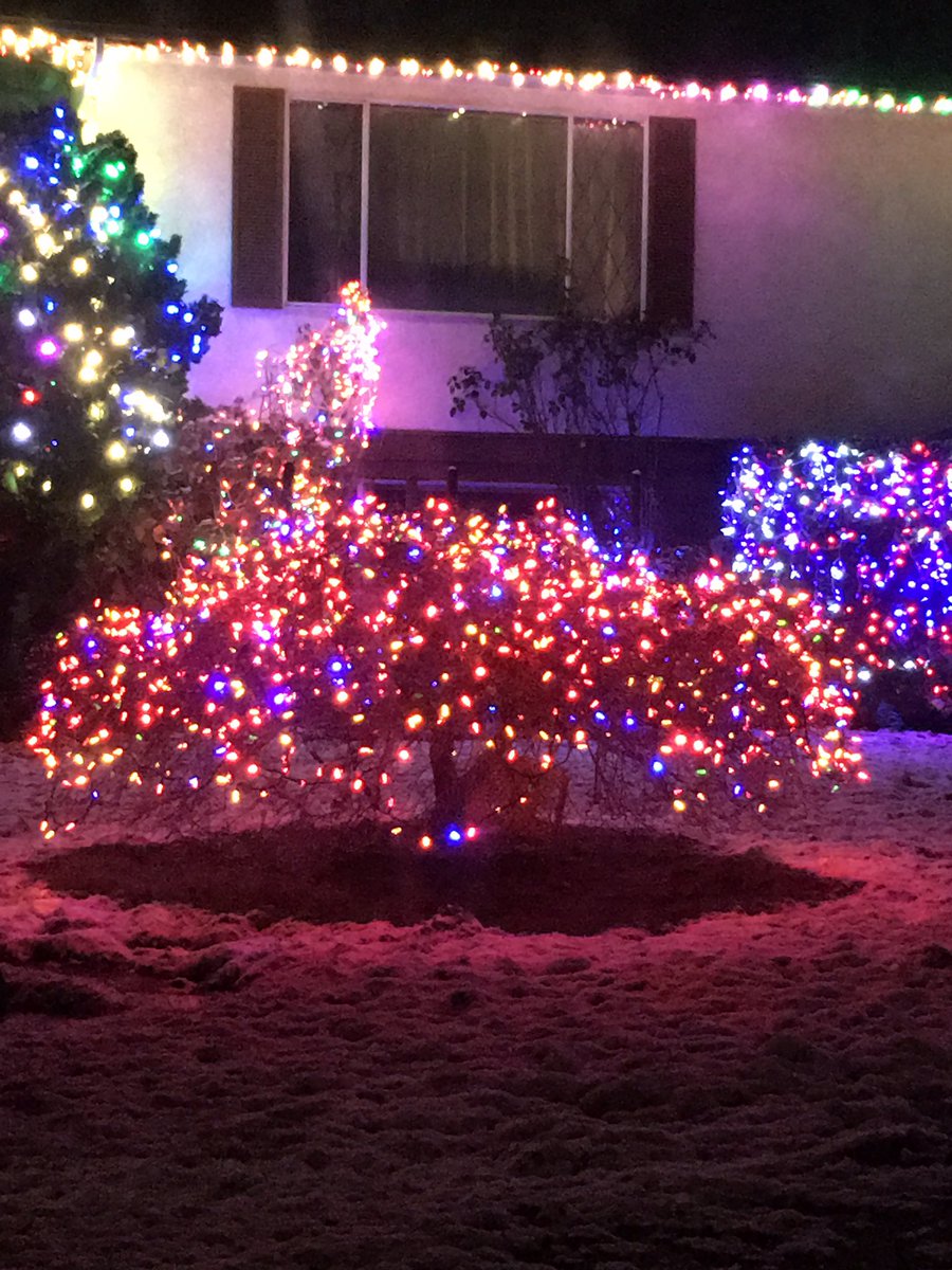 CrawlFaiNation's tweet photo. My dad got hammered tonight and ran outside in the nude screaming 'Avatar' after hanging these shitty lights. What a loser. https://t.co/AAb0wJx9i4