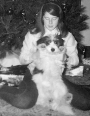 JillLHaymaker's tweet photo. #.99c sale. What do a #foster child and a #rescue dog have in common? Find out in Colorado Wrangler #discountebook #iartg https://t.co/BfMEWAHTcx