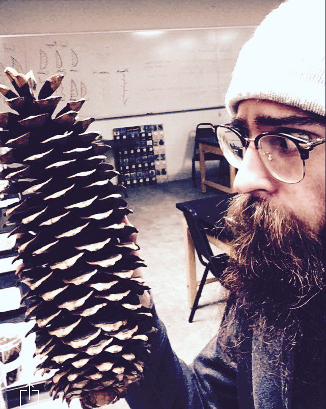 BeckyHagle's tweet photo. Yes, this pine cone is longer than @VincentBeltrone's beard #TheTaleOfALargePineCone https://t.co/Sn81UCTWDN