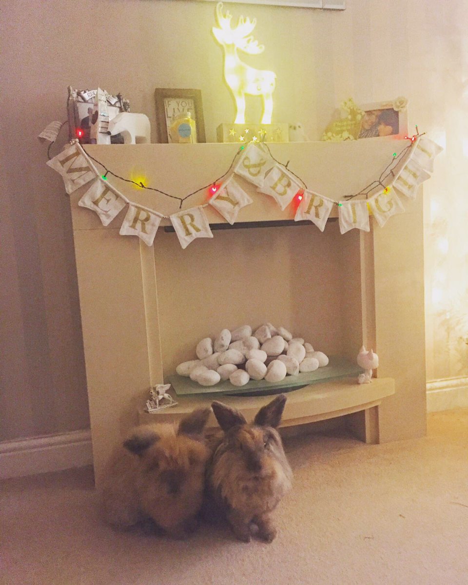 pincesspink84's tweet photo. @OfficialFV #FVXMas my Christmas tree and my fur babies!! ๐๐๐ https://t.co/PQzgg1JtU3