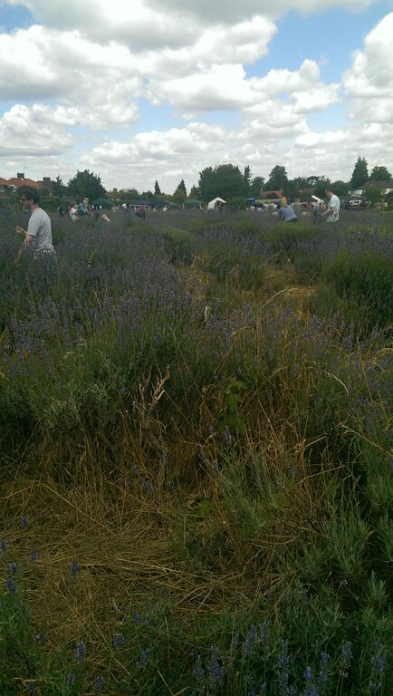 <a href="/cthaChairman/">CThA</a> Like our FB page to keep up date with #CThA London and South East Region facebook.com/CThALondonHub/