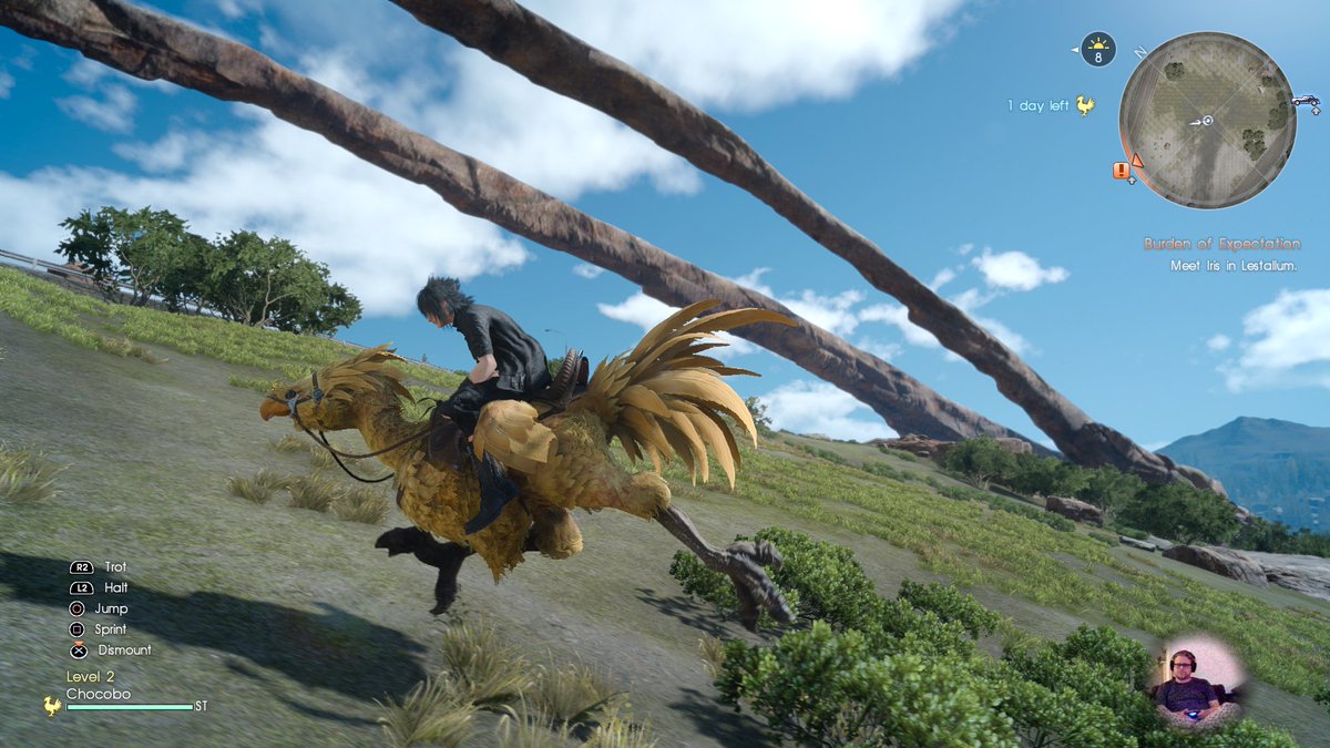 Best FFXV feature: You can literally drift chocobos.Final Fantasy XV: Choco...