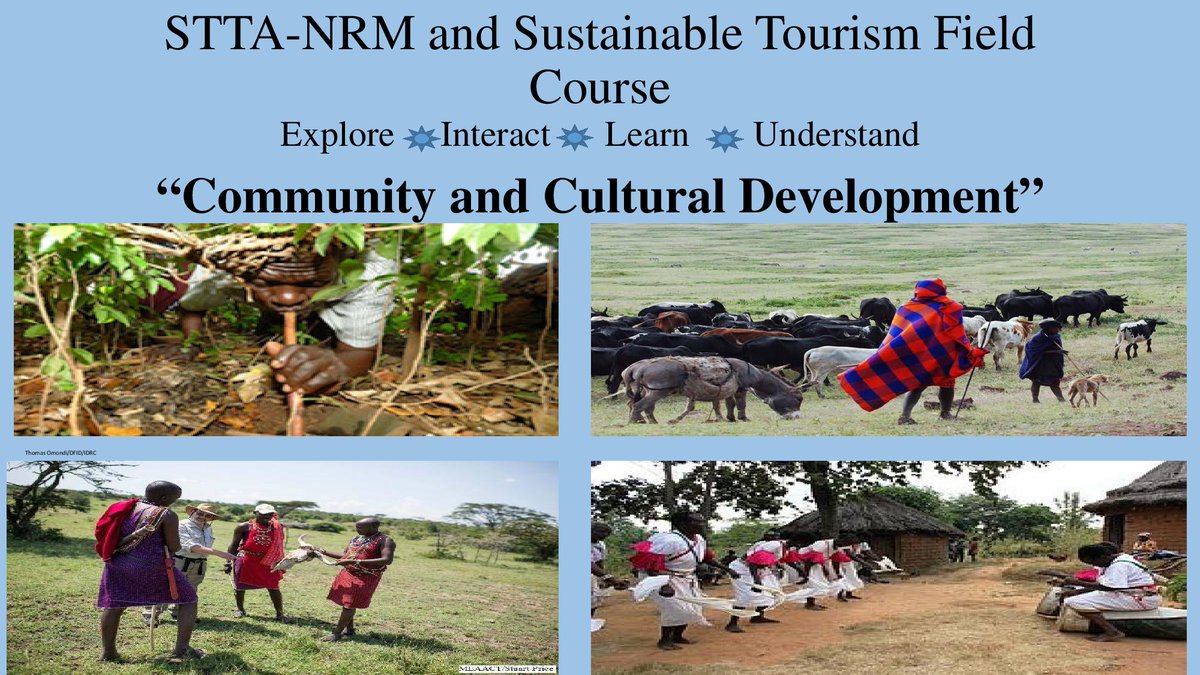 STTA Field Courses tweet media