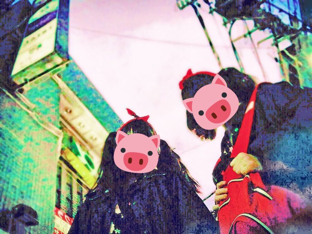 VS39420177's tweet photo. 豚と豚 https://t.co/wwM31nxITC