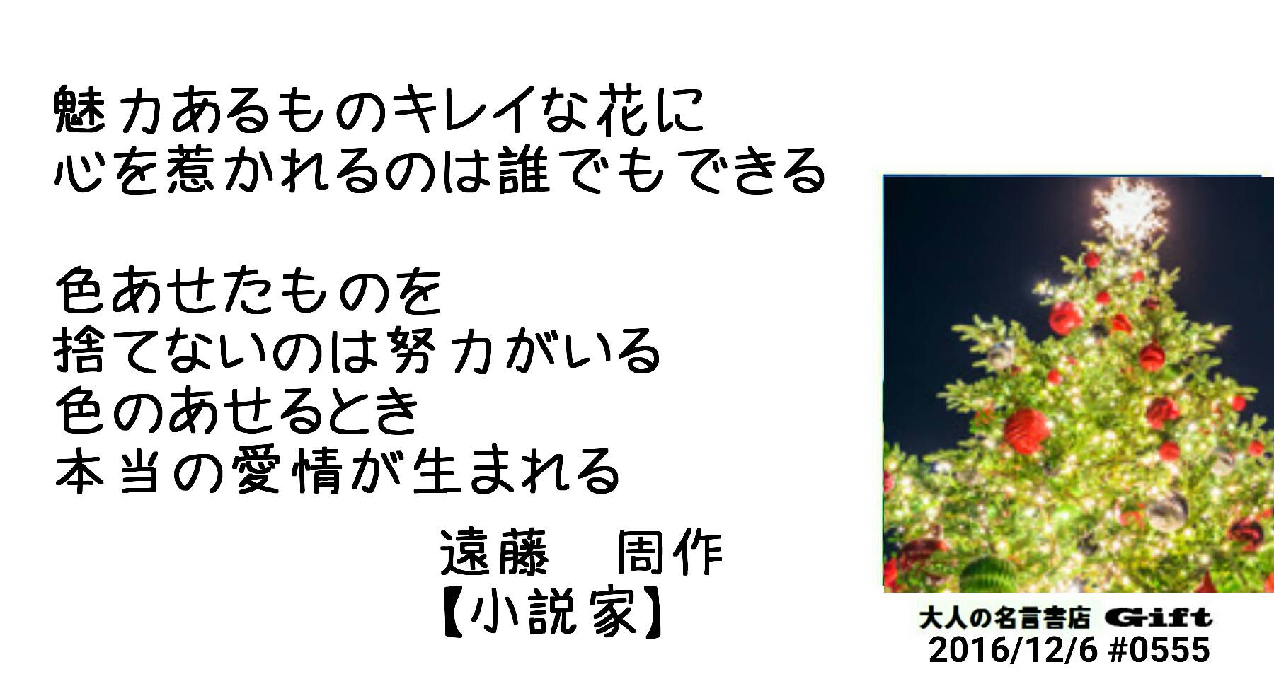 名言書店ｇｉｆｔ 魅力あるものキレイな花に 心を惹かれるのは誰でもできる 色あせたものを 捨てないのは努力がいる 色のあせるとき 本当の愛情が生まれる 遠藤 周作 小説家 大人の名言書店 16 12 6 0555 T Co
