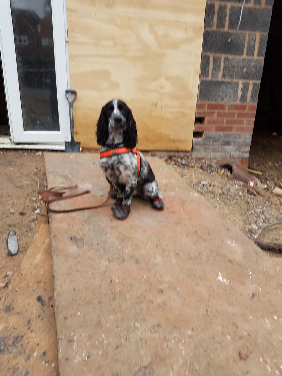 MidsDog's tweet image. Traffic bad this morning just made it to long Eaton to assist @DerbyshireFRS with an investigation