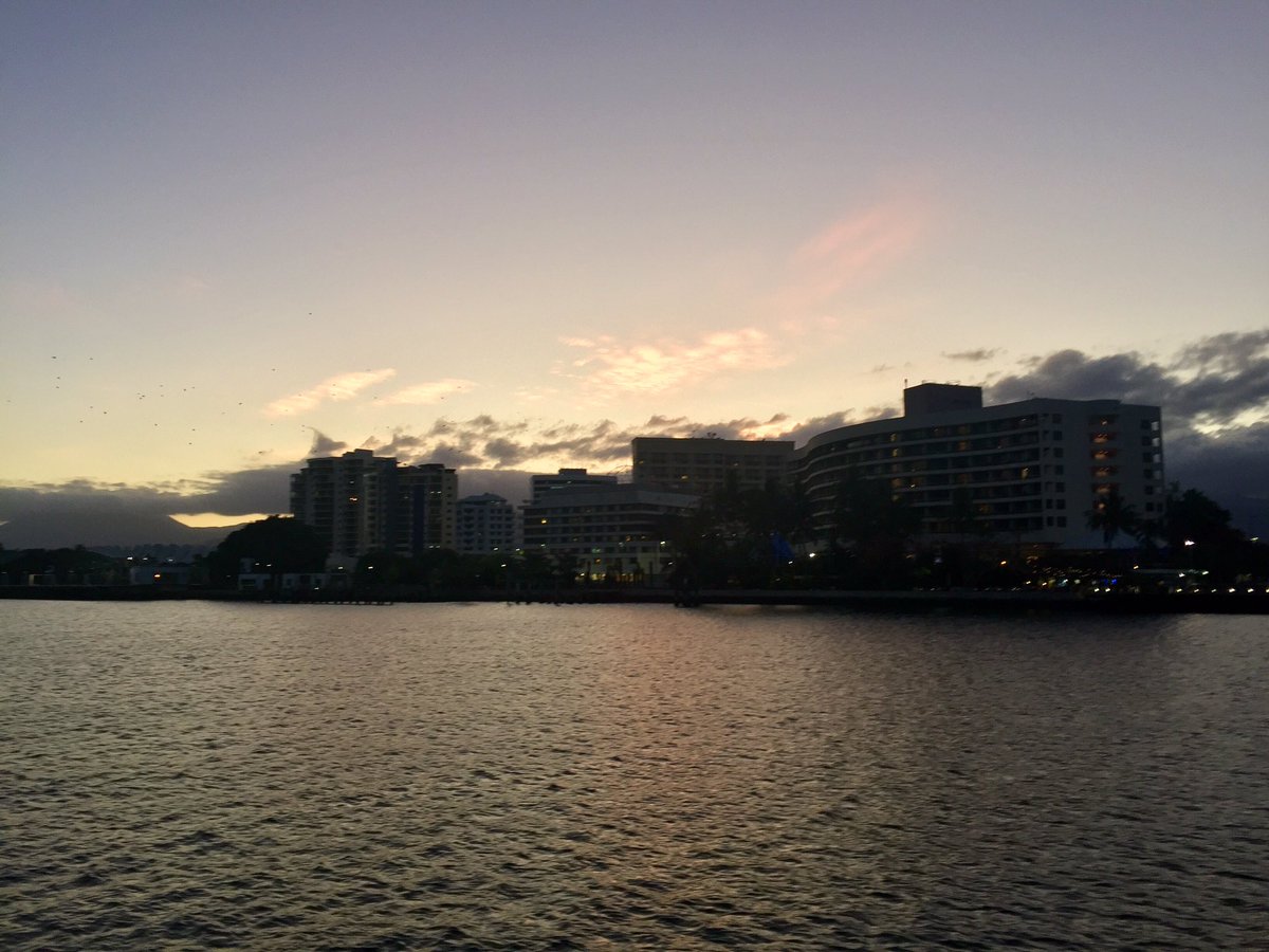 TSCommissioner's tweet image. The endangered Spectacled flying foxes in Cairns are off for a night of foraging #SavingSpecies
