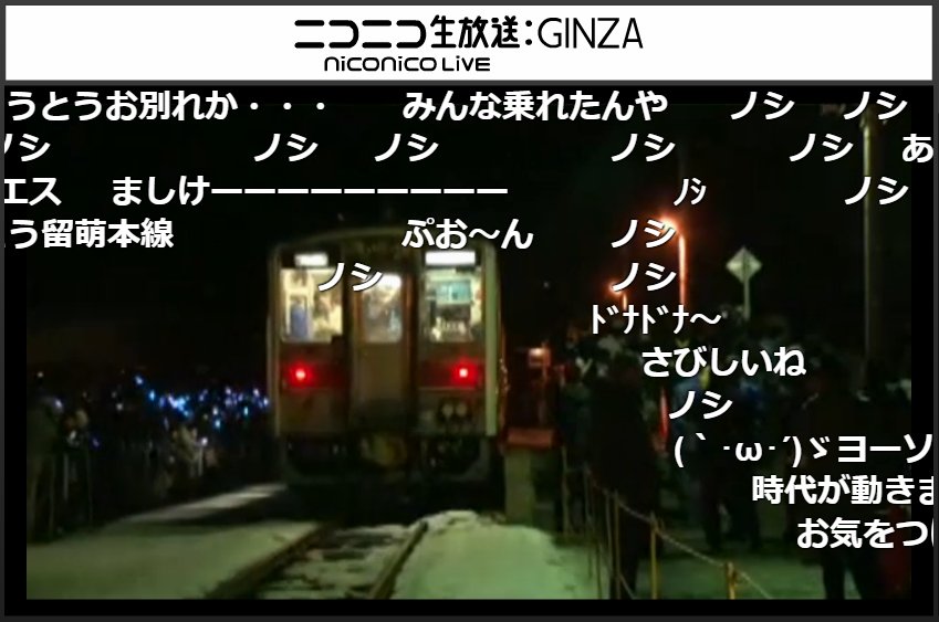 髪ってる 髪ってる