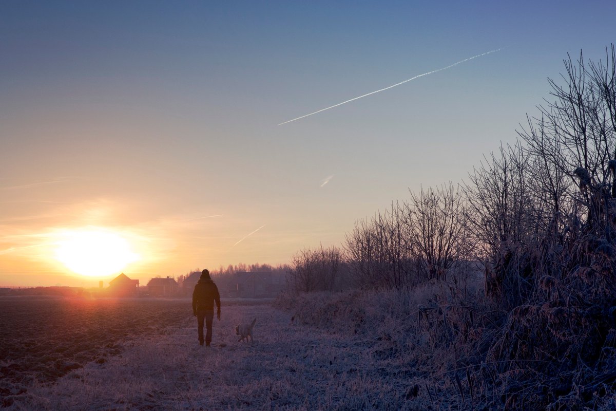 EdwinBroertjes's tweet photo. Prachtig #winter weer vanochtend in #Zeewolde.
#Flevoland #weerfoto #zonsopkomst #sunrise https://t.co/DTHER3HRTz