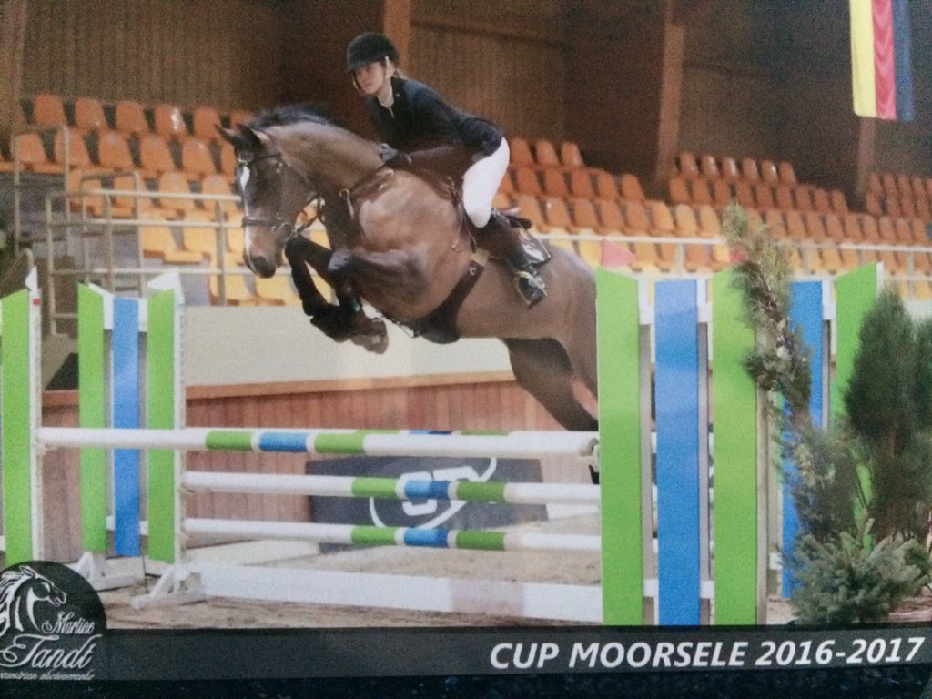 Alex_Allen08's tweet photo. Diva finishes in Belgium 4th in the 110🌟 https://t.co/ZUotj4RwfE