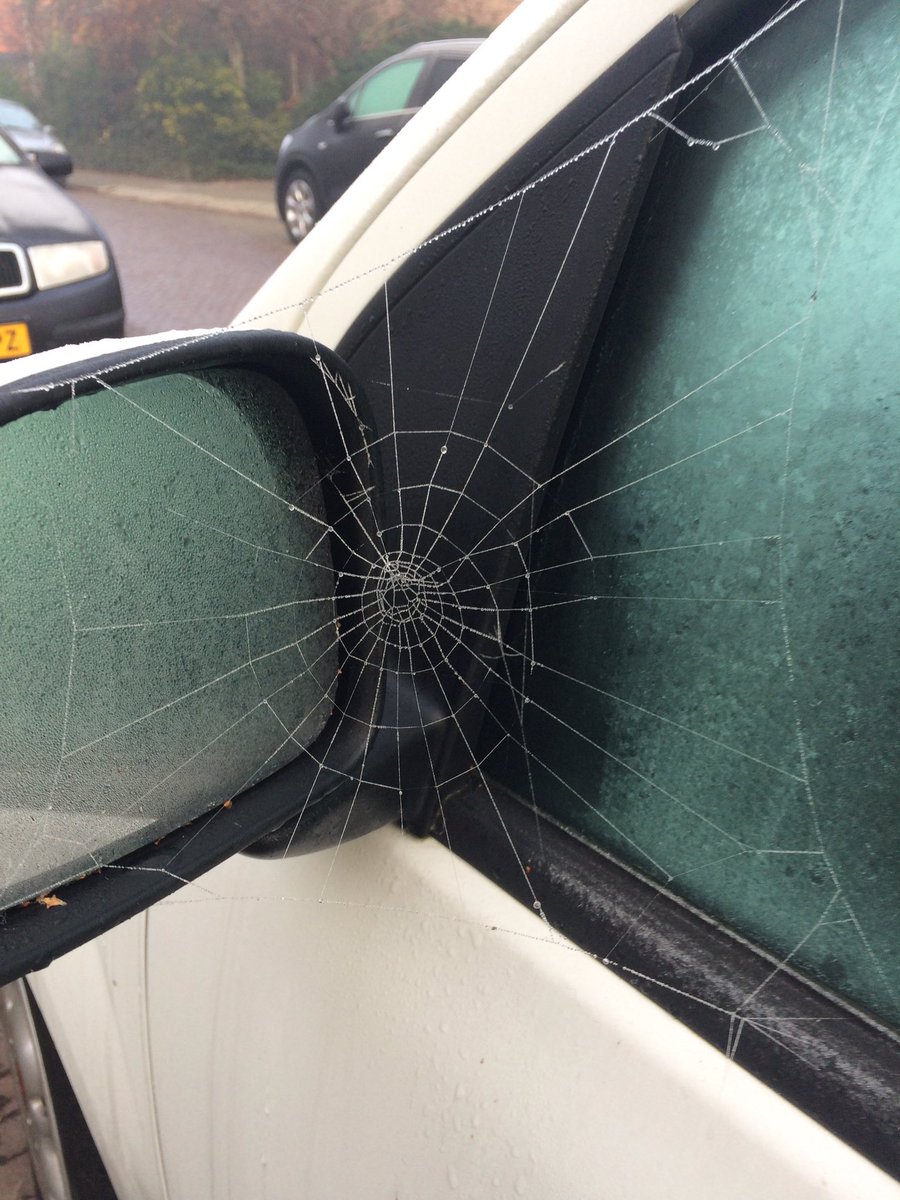 Bron: Rob Mastenbroek