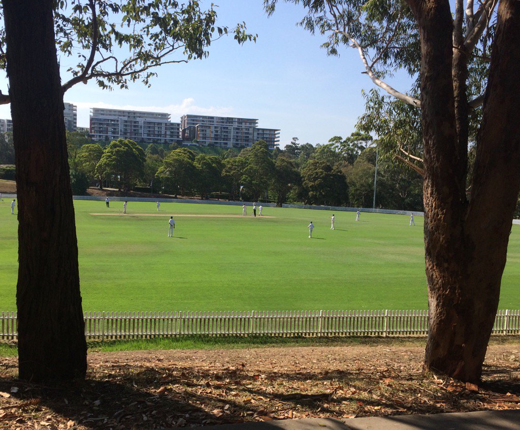 KathrynWicksSMH's tweet photo. Beautiful arvo at Ryde Oval watching Northern Dist U16s smash their way into the Watson Shield final. #saveourturf https://t.co/qbqKbtbZ8a