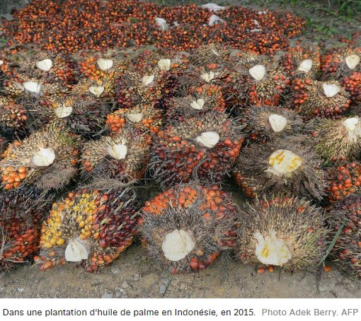 UNECE's tweet photo. According to @transenv, #biodiesel is the largest outlet for #PalmOil in Europe. Read the publication: https://t.co/mlJ9tEJtPh https://t.co/Nbc3IzXH8k