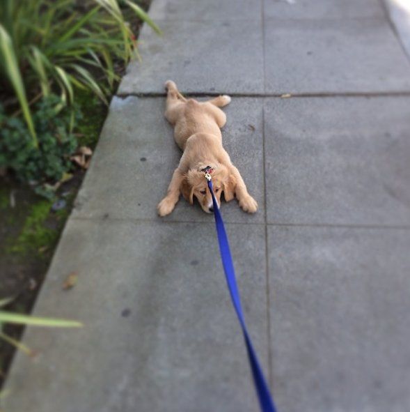 TheJordaneers's tweet photo. When you're just over life and don't wanna keep going https://t.co/Up4kqoxBfj