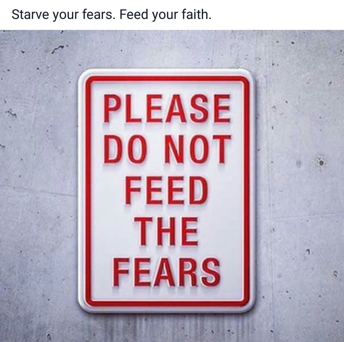 AlfredStreetBC's tweet photo. Can't even take credit for this; got this gem from an #ASBC member. #sharingiscaring #feedyourFAITH #ASBCprays #FaithForward #BoldInTheLord https://t.co/KmNGEK6lv8