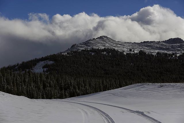 CSTribune's tweet photo. Making tracks in the Bighorns. Dec. 2, 2016. Photo by @alanmrogers. #westernexposure #Wyoming #nationalforest https://t.co/1iNGty22L6 https://t.co/8AHtrwSxI7