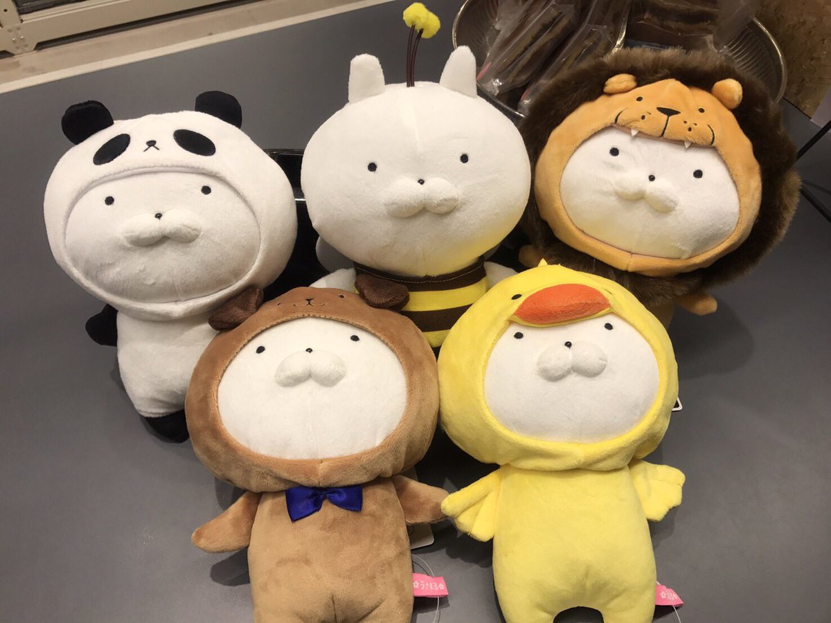 Line Friends Store福岡 Auf Twitter 大人気 うさまるの着ぐるみぬいぐるみが入荷したとよ パンダ ハチ ライオン イヌ ヒヨコの５種類あるっちゃん どれも可愛いけん 全種類欲しくなるばい Lineフレンズ うさまる 新ぬいぐるみ 全部で５種類