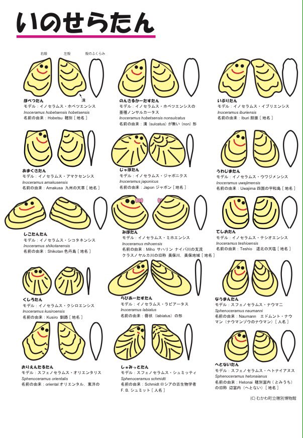 イノセラムス Twitter Search Twitter イノセラムス Twitter Search Twitter