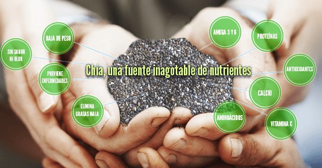 DietasTop's tweet photo. ¿Qué son las #SemillasDeChia?: Beneficios para tu #salud, #Adelgazante natural → https://t.co/TAV1bRKbBp #Chia https://t.co/2gumEu84hJ