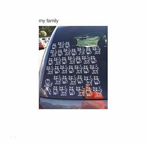 SmrodCats (@smrodcats) on Twitter photo 