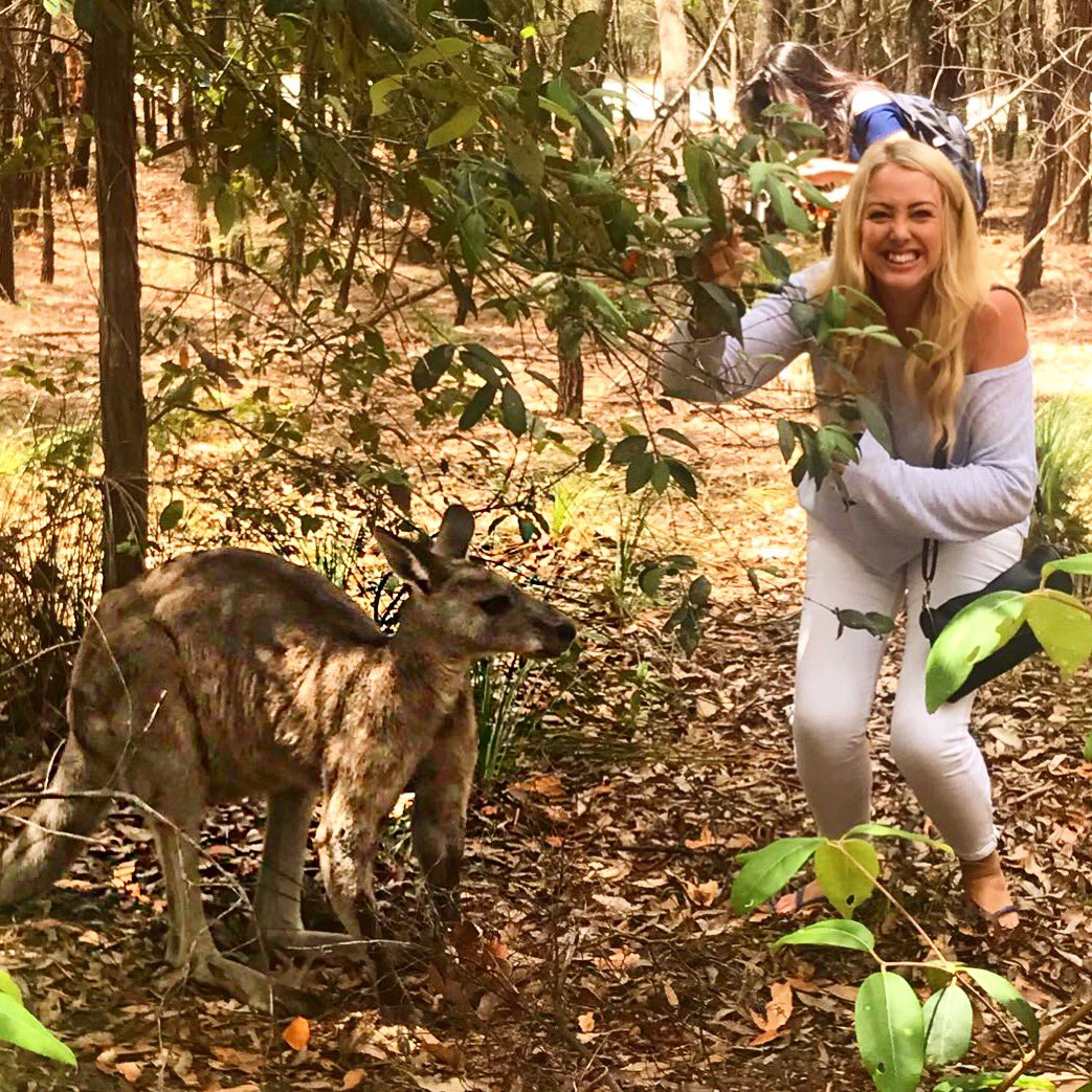 Emyjwaters's tweet photo. When your clearly struggling too contain your excitement from seeing a Kangaroo in the wild! #child #excited #cant💜 https://t.co/FGlLWalmhN