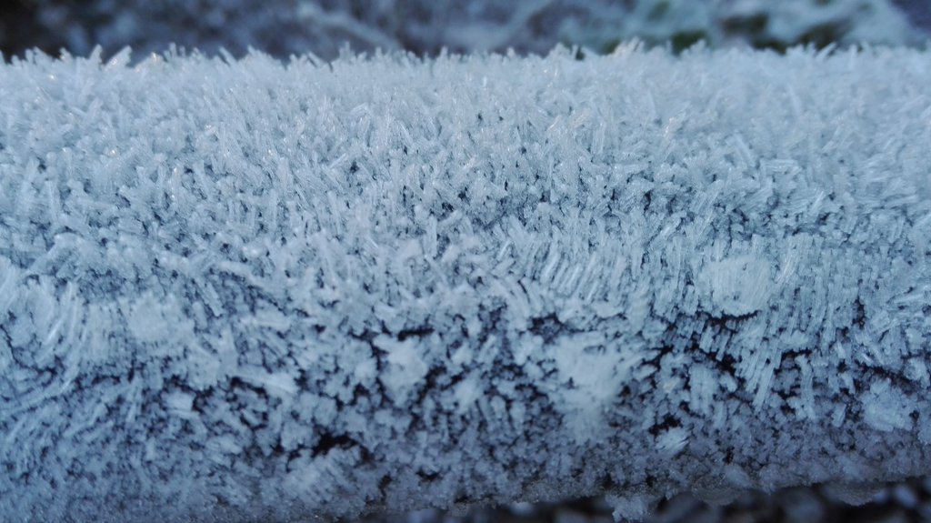 PicThisNature's tweet photo. #frozen #PicThisNature by @EinfachRuss https://t.co/Ot4NmwyMWv