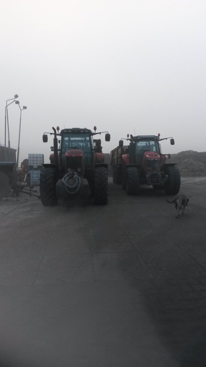 MtsJoling's tweet photo. Na 75 uur constant. Even pauze😊 #lelieteelt #westerveld #Drenthe  vooraadje gemaakt en nu hopen dat het morgenvroeg nog gaat... #vorst https://t.co/BWNCuhmYE5