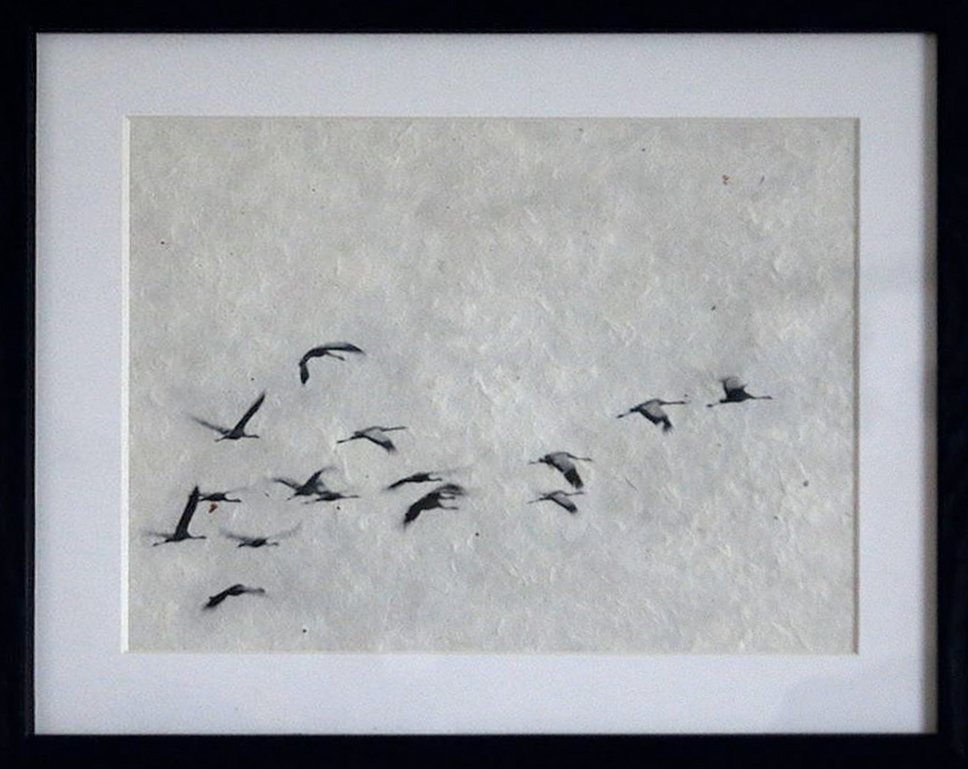 ssfrontiere_doc's tweet photo. Support our film about cranes, discover the limited edition "tirage d'art" in our shop : https://t.co/9PTsn8n2On

#grusgrus @savingcranes https://t.co/PtKfW1etgz