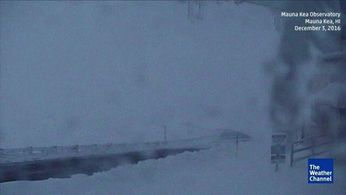 View image on Twitter View image on Twitter