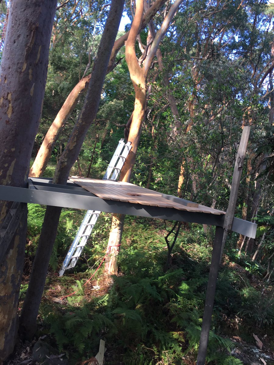 jharleyaus's tweet photo. End of #day2 in #OperationTreeHouse - 85% there. Need to get a few more sticks of decking but a structure is born! https://t.co/ehlEiLEc5d