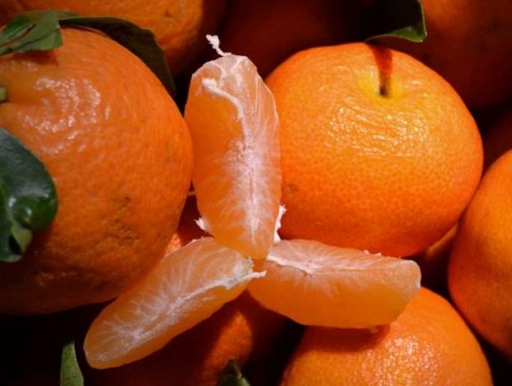 Lempe (@plebetlis) on Twitter photo 