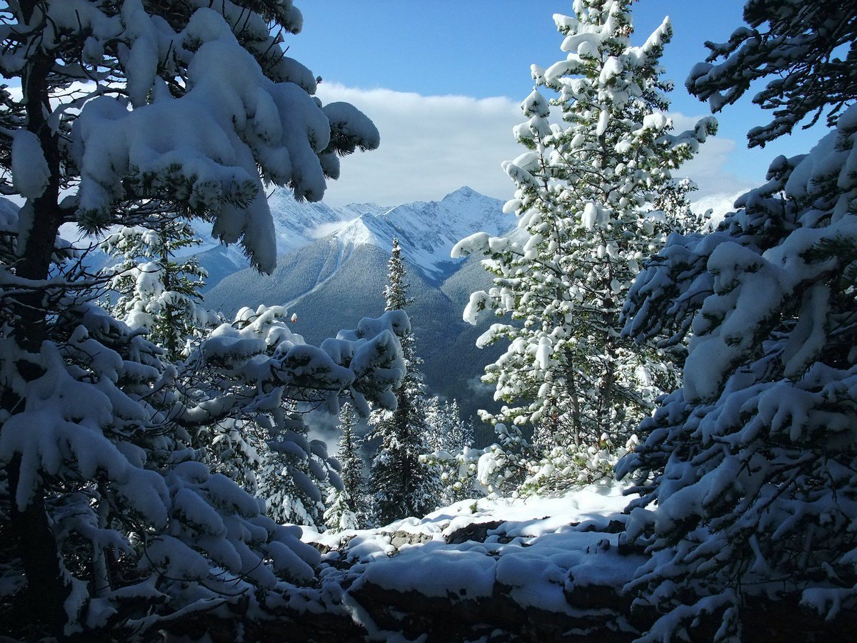 RoughGuides's tweet photo. Banff National Park, #Canada, is truly out of this world: https://t.co/VgiusKoSwu #Travel #Winter https://t.co/S1vfrhr0BD