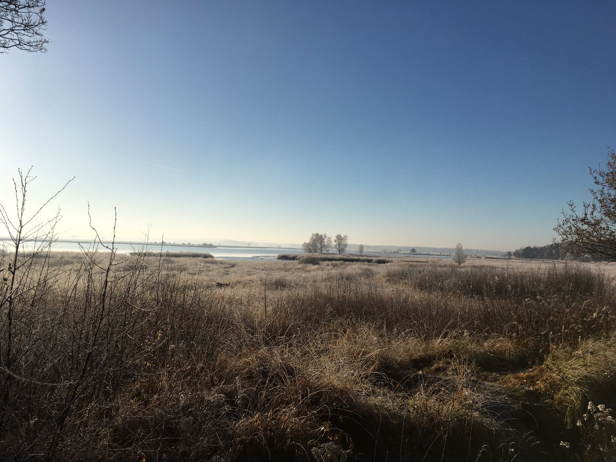 Zo mooi in #dwingeloo