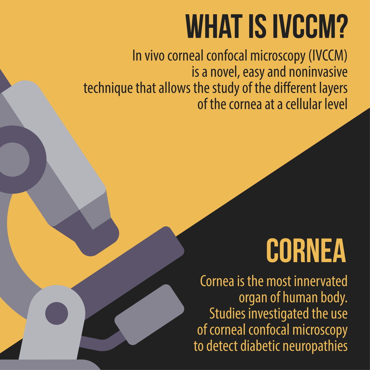 CampusBioMedico's tweet photo. Come diagnosticare la neuropatia cardiaca autonomica?
Con una fotografia della cornea. #LabStories #UCBM #Diabete https://t.co/umAPXAoJ12