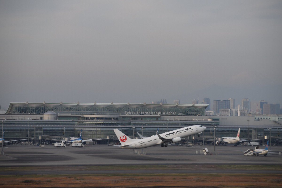 Imim5 朝頑張って起きて 撮ってきました いい位置だったのに富士山 霞んでるt T初めての朝羽田 楽しかった 飛行機からの 見返り美人さん 笑 羽田空港 飛行機 ハミングバードデパーチャー 眠い 一眼レフ 写真好きな人と繋がりたい スズメさん