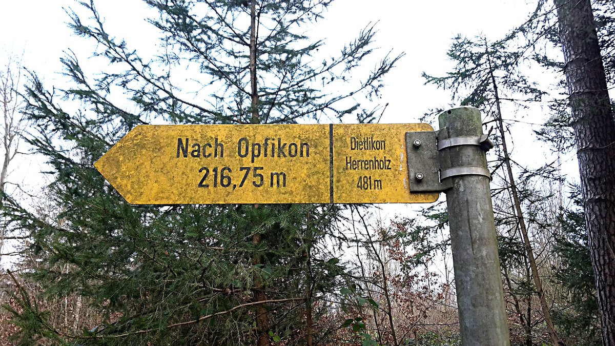 felix_moser's tweet photo. Schweizerische Präzision. #opfikon #hardwald #wanderweg https://t.co/NeNLLZURhH