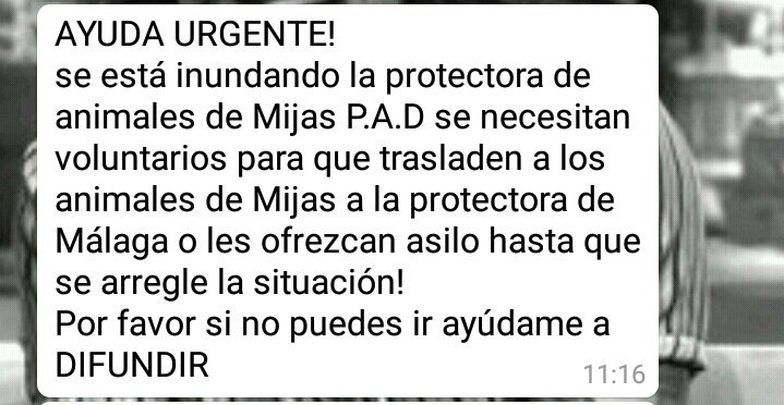 pxulamv's tweet photo. #trombaMLG COMPARTID POR FAVOR!! https://t.co/9WJVDXAzhN
