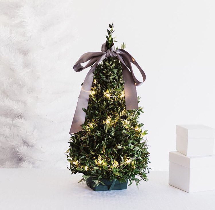 thisisMadeinDC's tweet photo. #sendhappy #sendcheer but make sure you #sendlocal @SendUrbanStems is #madeindc support #smallbizdc @ https://t.co/OfuUBVjurE https://t.co/kEB4NDueP5