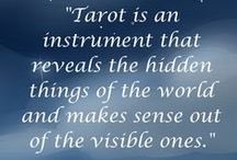 Candice Stewart tweet media