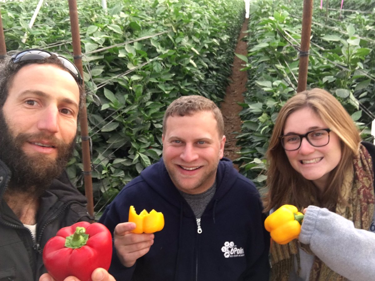 urjscitecheast's tweet photo. We began our #scitechisrael planning adventure with fresh peppers on a high tech drip irrigation farm. https://t.co/DvpGnTLwvd https://t.co/cOoJK9TREb